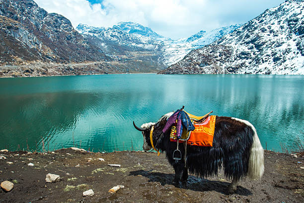 Sikkim 5